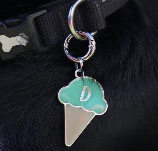 Who wants Ice Cream? resin Pet ID tag