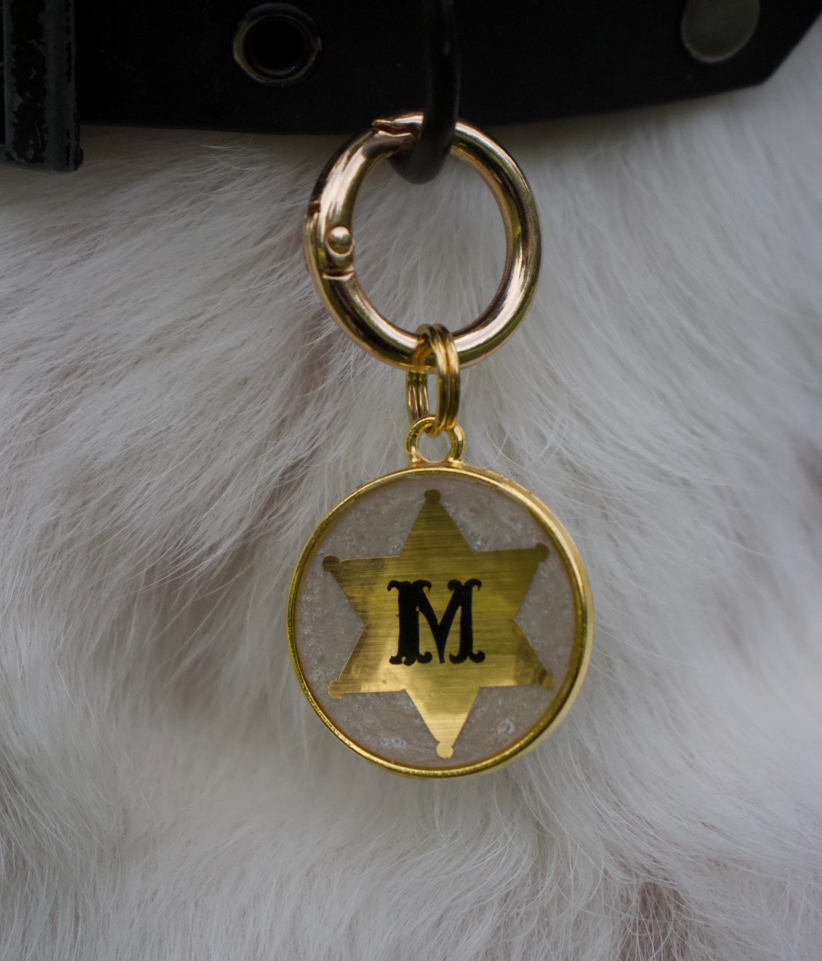 Sheriff Paws Resin ID Tag